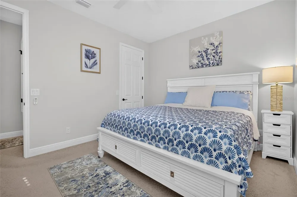 1325 BLARNEY STREET Clermont, FL 34715