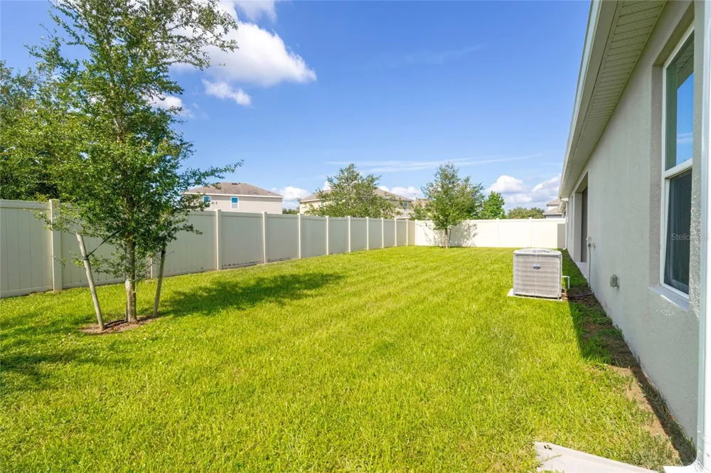 1325 BLARNEY STREET Clermont, FL 34715