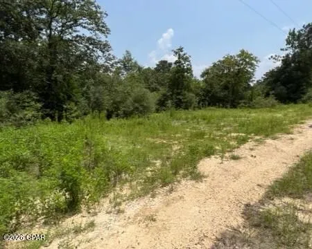 Alton Lane Chipley, FL 32428