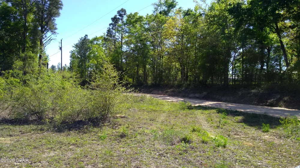 Alton Lane Chipley, FL 32428