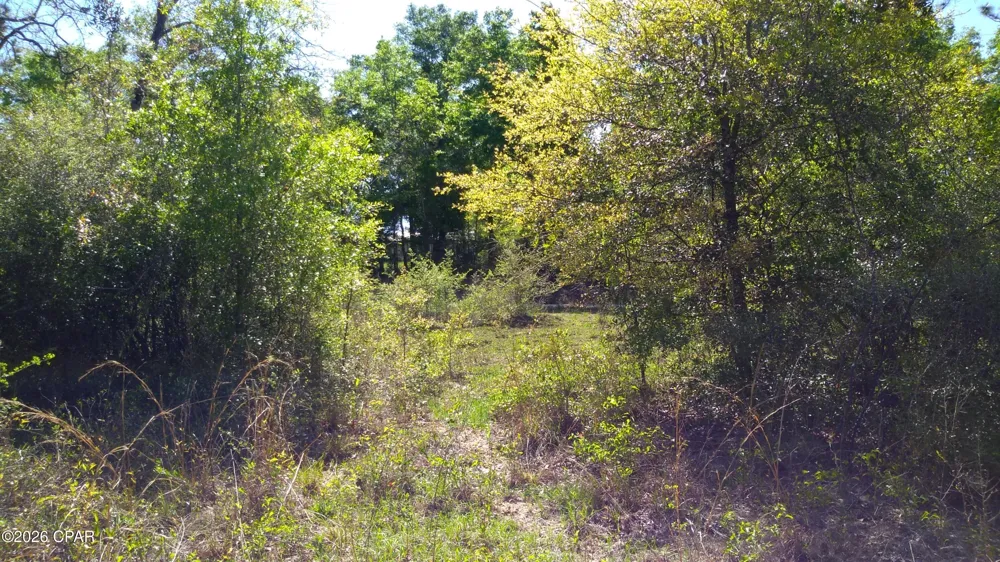 Alton Lane Chipley, FL 32428