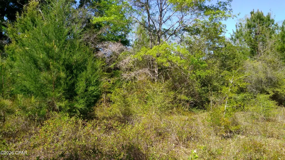 Alton Lane Chipley, FL 32428
