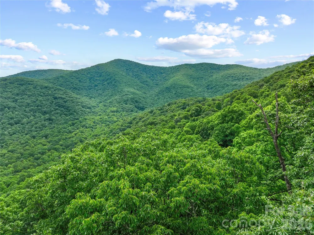 99999 Winding Poplar Road #915 Black Mountain, NC 28711