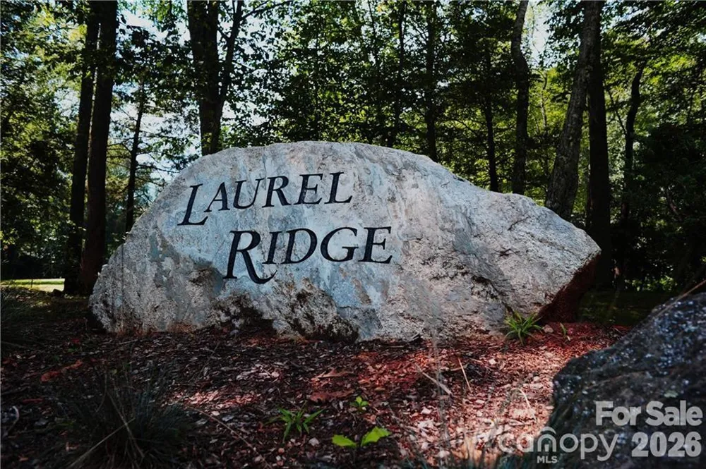 99999 Winding Poplar Road #915 Black Mountain, NC 28711