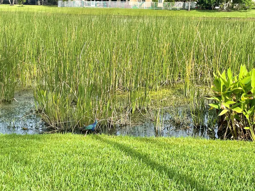 9656 Cobblestone Creek Drive Boynton Beach, FL 33472