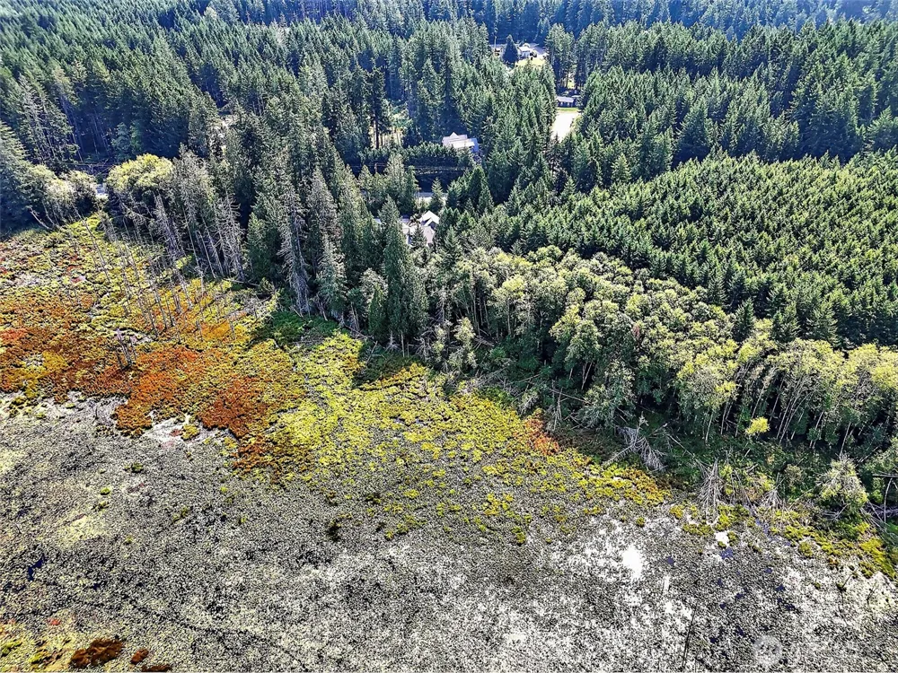 9598 JM Dickinson Road SW Port Orchard, WA 98367