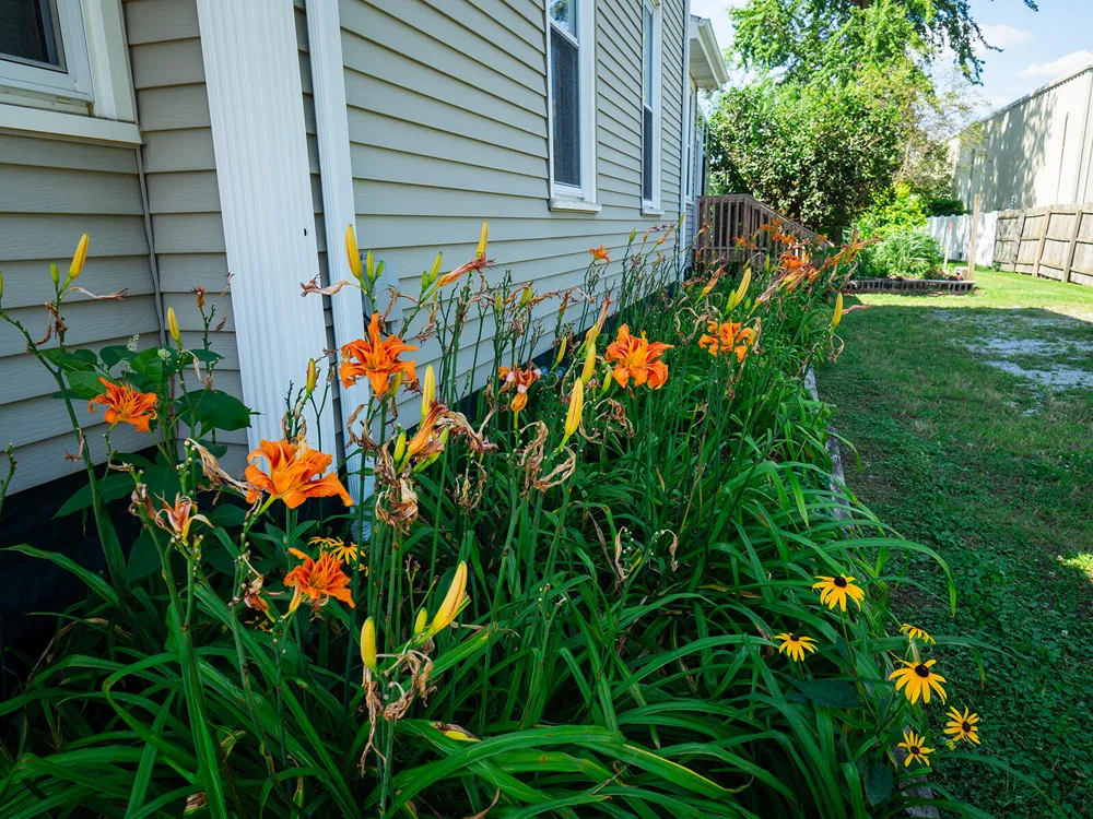24 W Linden Street W Three Oaks, MI 49128