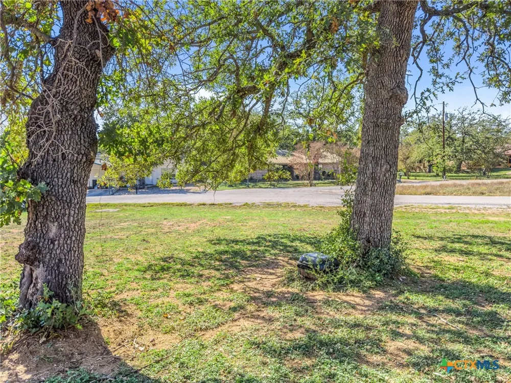2102 Cedar Valley Drive Kingsland, TX 78639