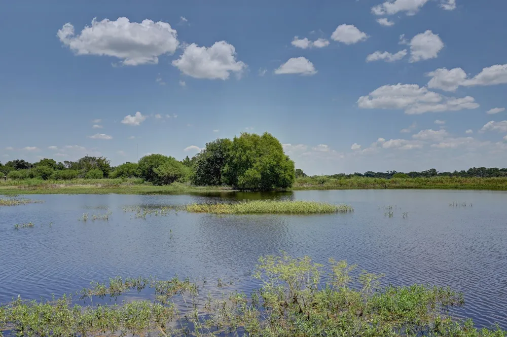 1231 County Road 131 Ledbetter, TX 78946