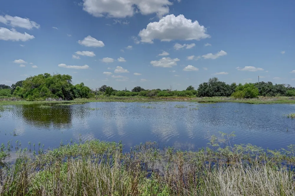 1231 County Road 131 Ledbetter, TX 78946