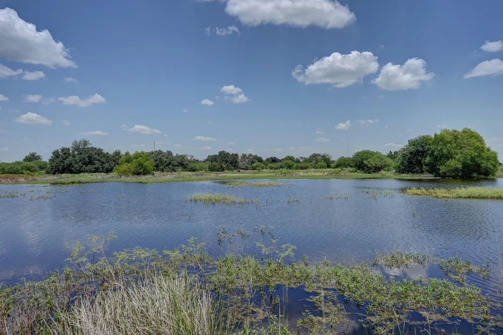 1231 County Road 131 Ledbetter, TX 78946