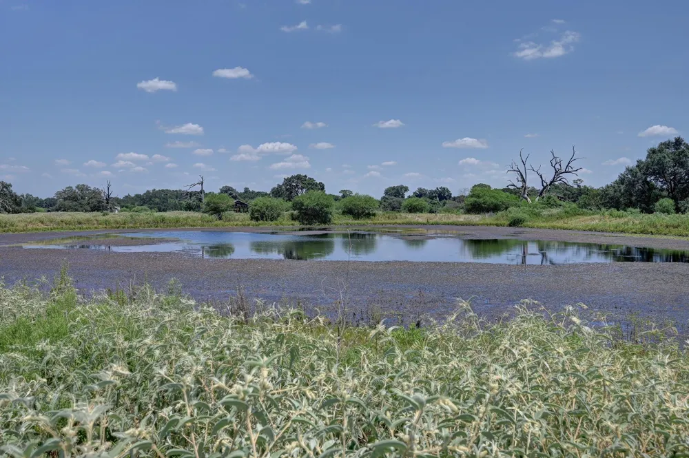 1231 County Road 131 Ledbetter, TX 78946