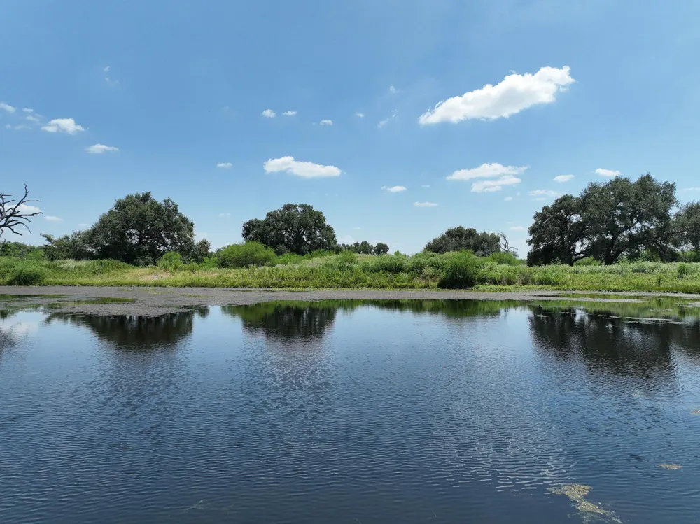 1231 County Road 131 Ledbetter, TX 78946