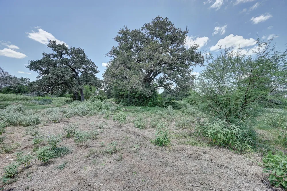 1231 County Road 131 Ledbetter, TX 78946