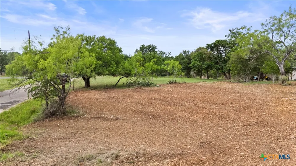 336 E Stonecastle Drive Granite Shoals, TX 78654