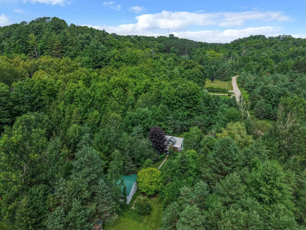 8594 W Old State Road Central Lake Township, MI 49622