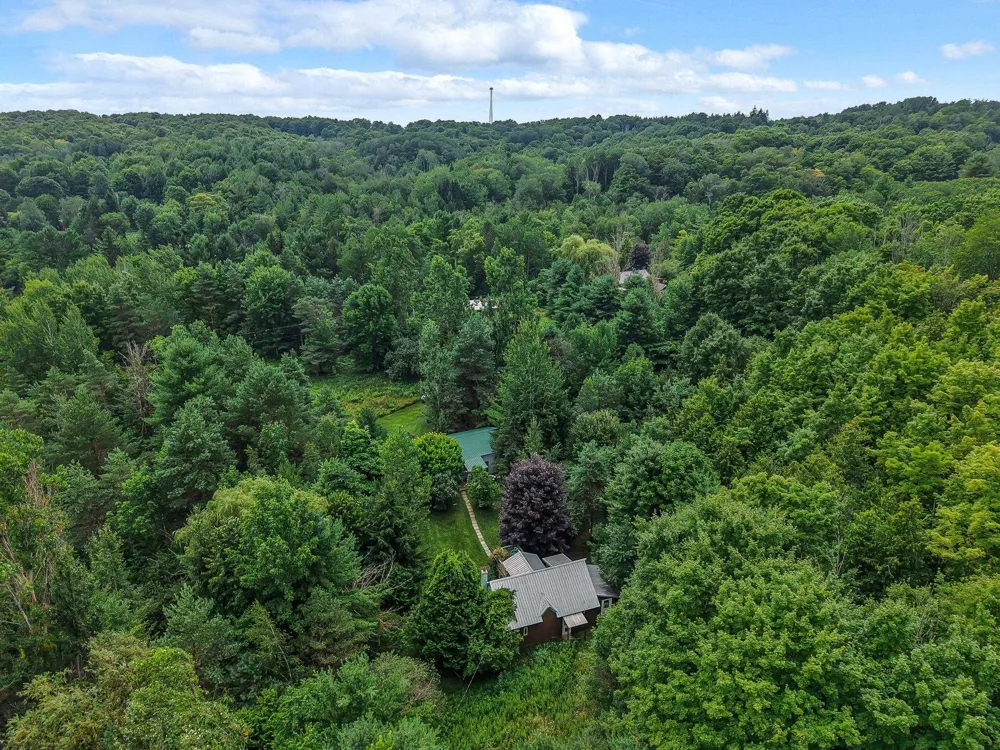 8594 W Old State Road Central Lake Township, MI 49622