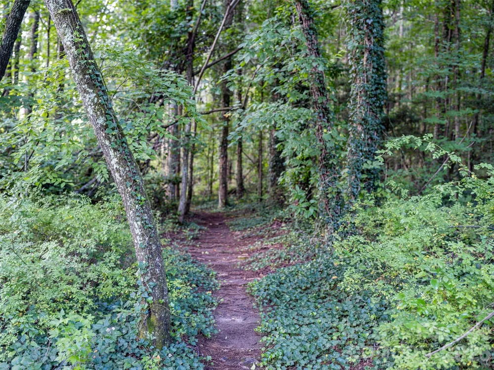 102 Boyd Drive #5C Flat Rock, NC 28731