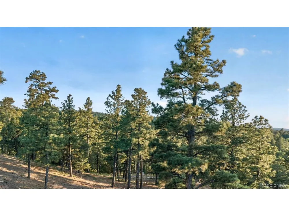 33182 Timber Park Drive Trinidad, CO 81082