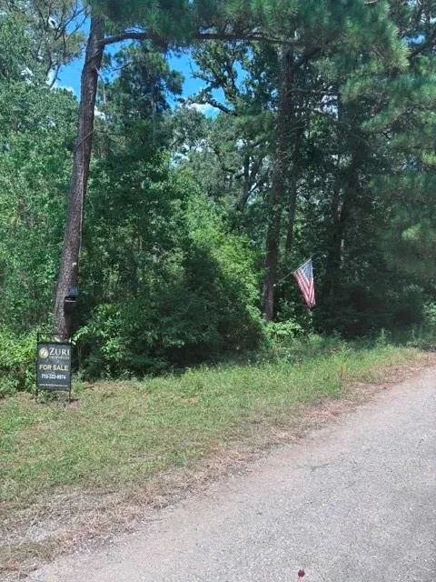 30651 S Walnut Creek Drive Waller, TX 77484
