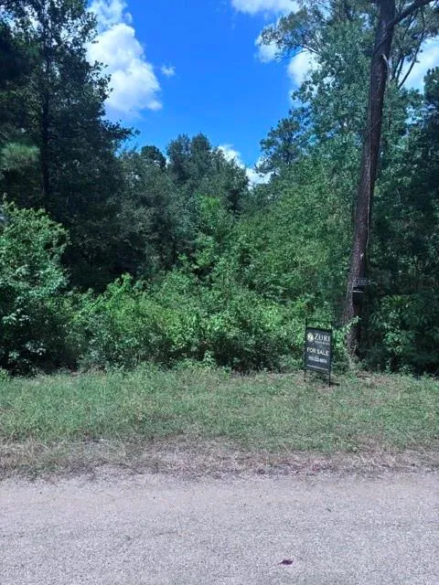 30651 S Walnut Creek Drive Waller, TX 77484