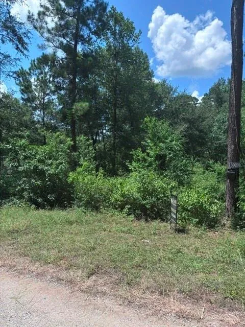 30651 S Walnut Creek Drive Waller, TX 77484