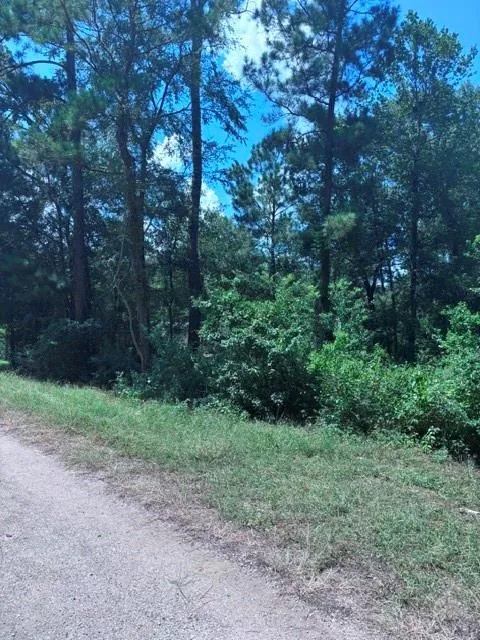30651 S Walnut Creek Drive Waller, TX 77484