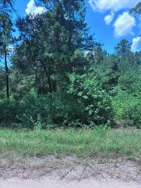 30651 S Walnut Creek Drive Waller, TX 77484