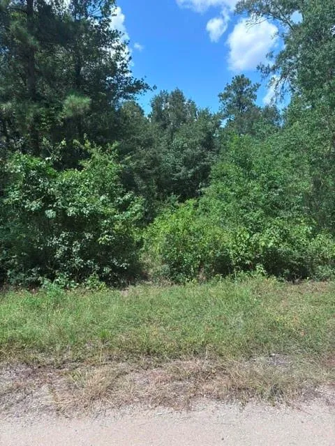 30651 S Walnut Creek Drive Waller, TX 77484