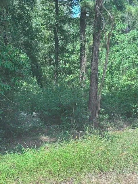 30651 S Walnut Creek Drive Waller, TX 77484