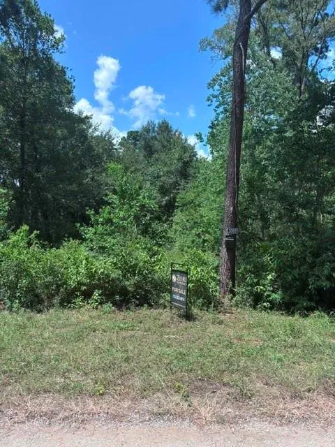 30651 S Walnut Creek Drive Waller, TX 77484