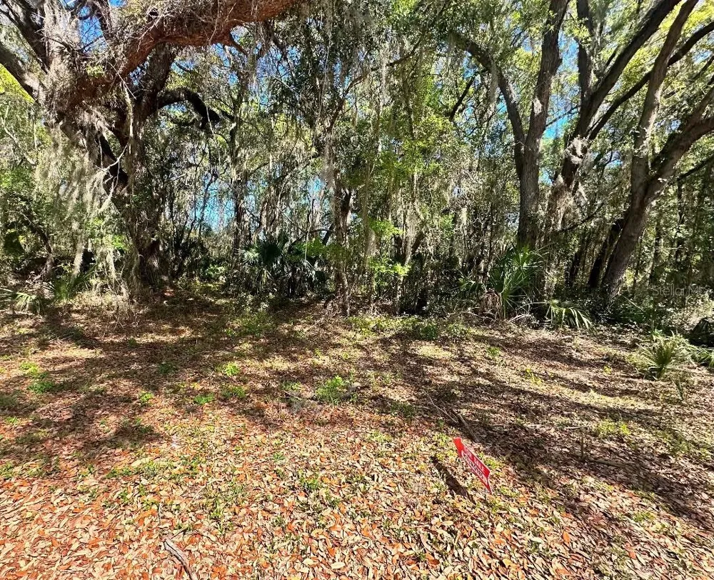 GUAVA TERRACE Ocklawaha, FL 32179