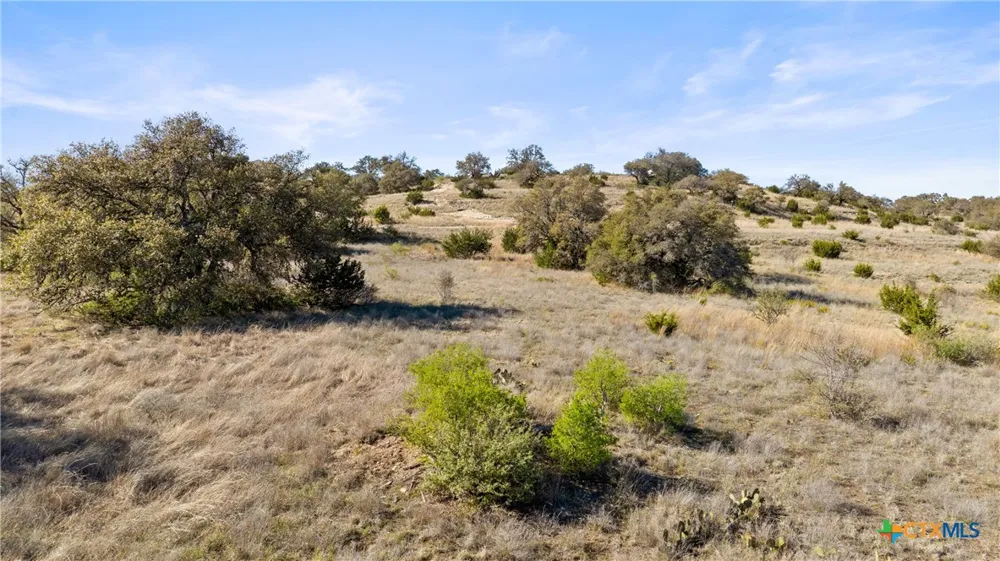 328 Cypress View Drive Johnson City, TX 78636