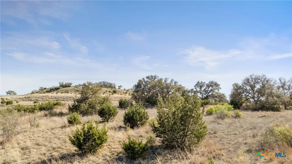 328 Cypress View Drive Johnson City, TX 78636