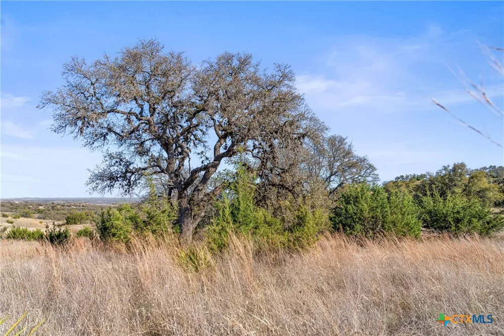 328 Cypress View Drive Johnson City, TX 78636