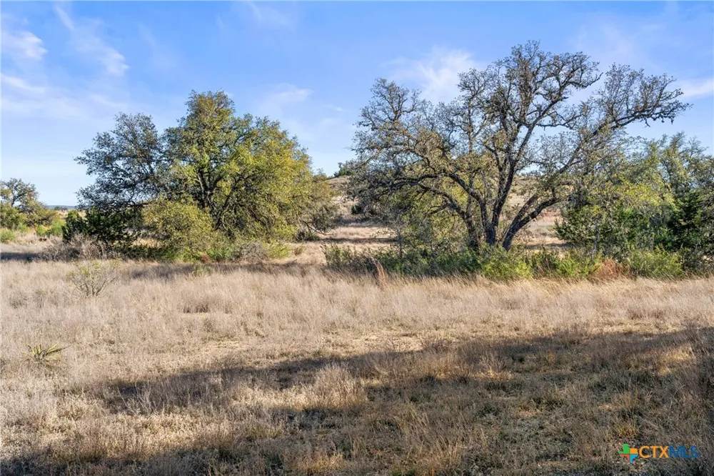 328 Cypress View Drive Johnson City, TX 78636