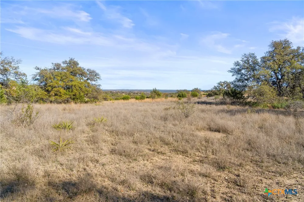 328 Cypress View Drive Johnson City, TX 78636