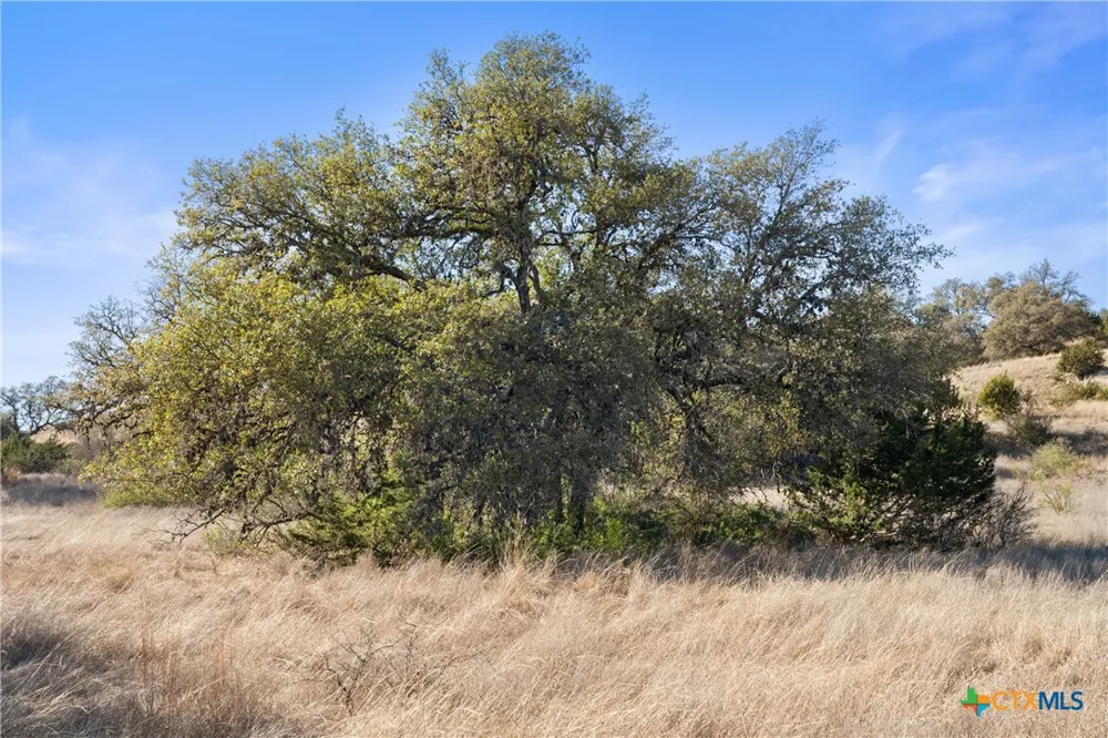 328 Cypress View Drive Johnson City, TX 78636