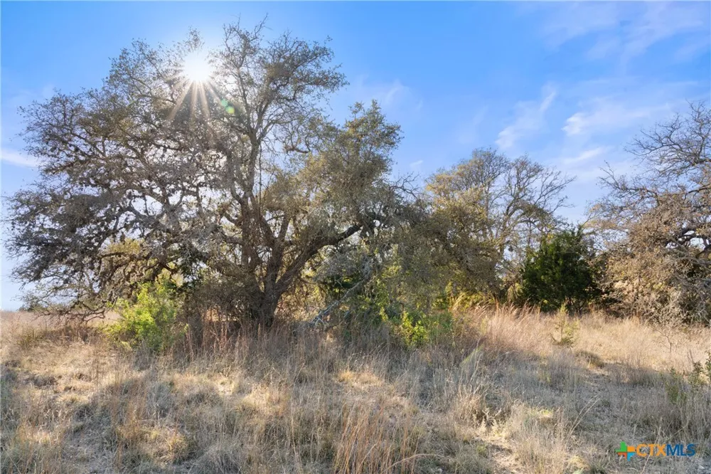 328 Cypress View Drive Johnson City, TX 78636