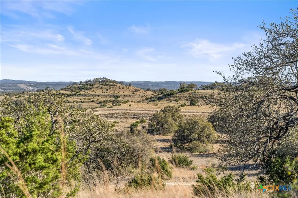 328 Cypress View Drive Johnson City, TX 78636
