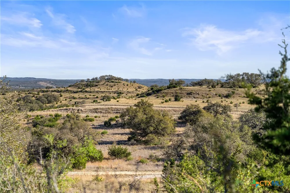 328 Cypress View Drive Johnson City, TX 78636