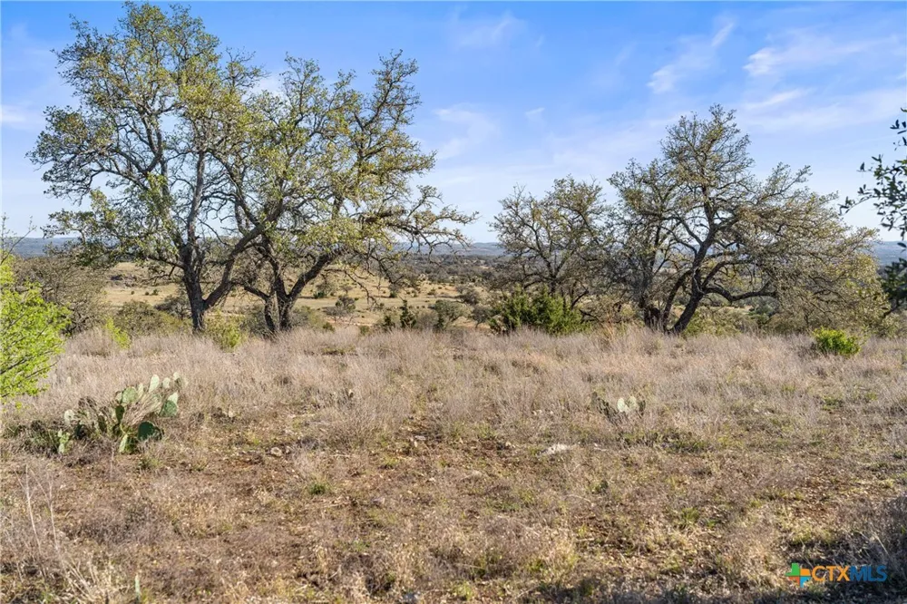 328 Cypress View Drive Johnson City, TX 78636