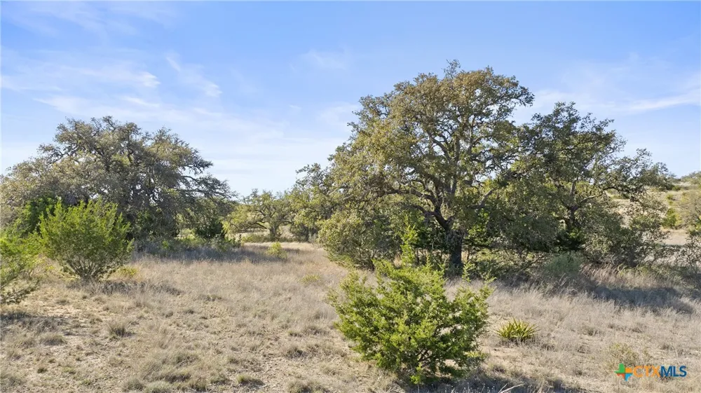 328 Cypress View Drive Johnson City, TX 78636