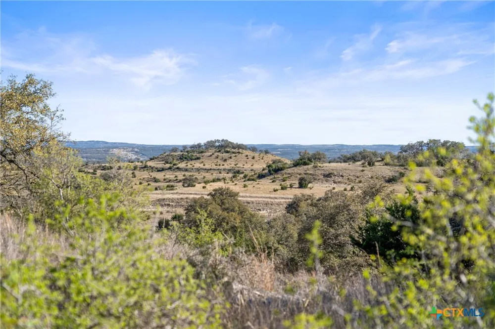 328 Cypress View Drive Johnson City, TX 78636