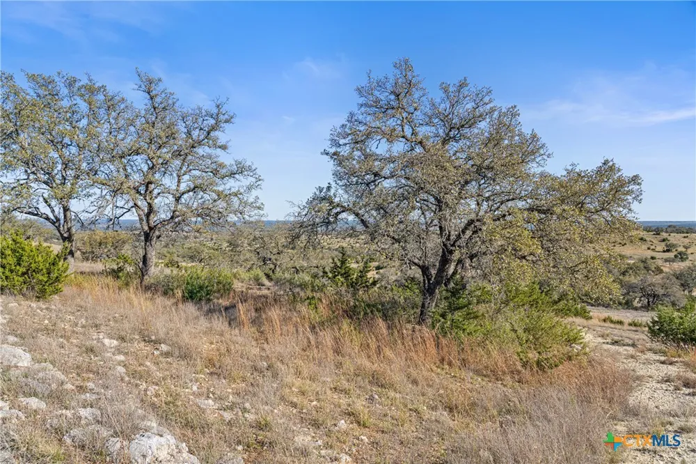 328 Cypress View Drive Johnson City, TX 78636