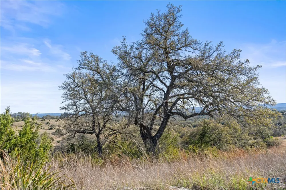 328 Cypress View Drive Johnson City, TX 78636