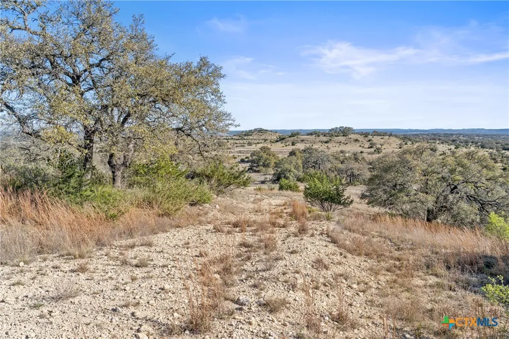 328 Cypress View Drive Johnson City, TX 78636