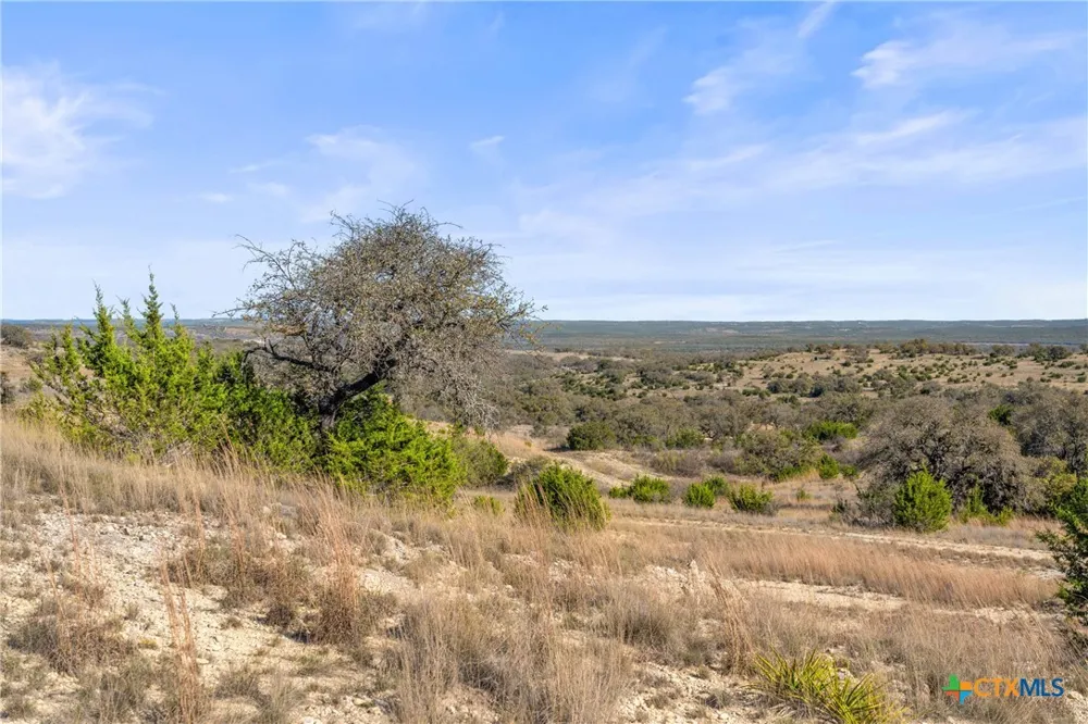 328 Cypress View Drive Johnson City, TX 78636