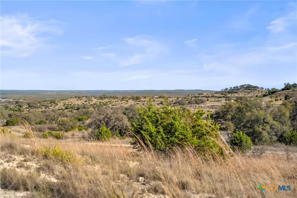 328 Cypress View Drive Johnson City, TX 78636