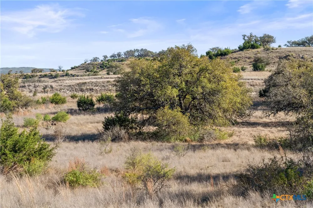 328 Cypress View Drive Johnson City, TX 78636
